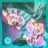 Breathe - Habischman Remix cover art