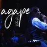 Vuelve (En Concierto) - En Vivo cover art