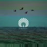 Packard - Monkey Safari Extended Remix cover art