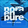 Diving With Whales cover art