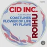 My Flaws by Cid Inc cover art