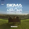 Coming Home - Danny Howard Dub Remix by Sigma cover art