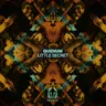 Little Secret - Yulia Niko Remix by Yulia Niko cover art