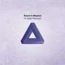 TriState - Robert Nickson Intro Remix by Above & Beyond cover art