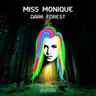 Dark Forest (original mix) cover art