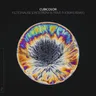 Fictionalise - Lindstrom & Prins Thomas Extended Mix cover art