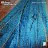 Birds That Fly - Rival Consoles Remix by Rival Consoles cover art