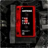 What Happened? by Matroda cover art