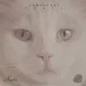 Deets (original mix) cover art