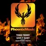 Give It Baby by Todd Terry cover art