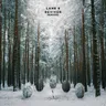 Together - Grigoré Remix by Lane 8 cover art
