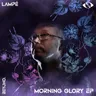Morning Glory cover art