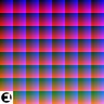 Shells cover art