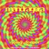 Insane Minds - Original Mix by Mandragora cover art