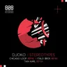 Stereotypes - Chicago Loop Remix by Kolter cover art