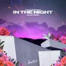 In the Night - Sevek Remix cover art