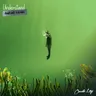Understand (AMÉMÉ Remix) - Extended Mix by AMÉMÉ cover art