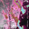 Recalibration by Joel Mull cover art