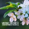 Eyes by Vintage Culture cover art