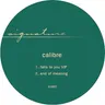Falls to You VIP by Calibre cover art