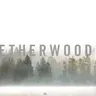 Three Eagles by Etherwood cover art