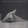 Open End Resource - Leaving Laurel Extended Mix cover art