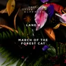 March of the Forest Cat cover art