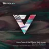 Biocosmic Symphony - Antrim Remix cover art