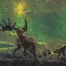 Anubis cover art