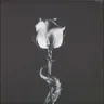 K cover art