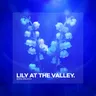 Lily at the Valley by Boris Brejcha cover art