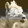 Essentially cover art