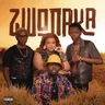Zwonaka by DBN Gogo cover art