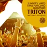Triton (Dance Valley 2013 Anthem) cover art