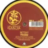 Prisma by Netsky cover art