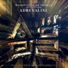 Adrenaline (extended mix) by Wildstylez cover art