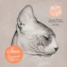 The Path (Suara Summer Hit 2014) by Purple Disco Machine cover art