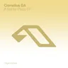 Not Everything Is as It Seems, Not Everything That Seems Is by Cornelius SA cover art