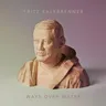 Stranger in a Strange Land by Fritz Kalkbrenner cover art