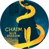 Blue Shadow cover art