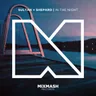 In The Night by Sultan + Shepard cover art