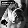 Magnetic Dog cover art