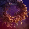 Bear Hug by Lane 8 cover art