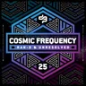 Cosmic Frequency (Official Decibel Outdoor 2025 Anthem) (extended mix) by Ran-D cover art