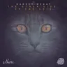 Acetate - Original Mix cover art