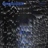 Contraindication cover art