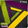 Tears - Album Mix cover art