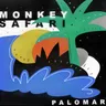 Artifact by Monkey Safari cover art