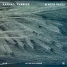 The Angel's Hand by Acid Pauli cover art