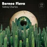 Borneo cover art